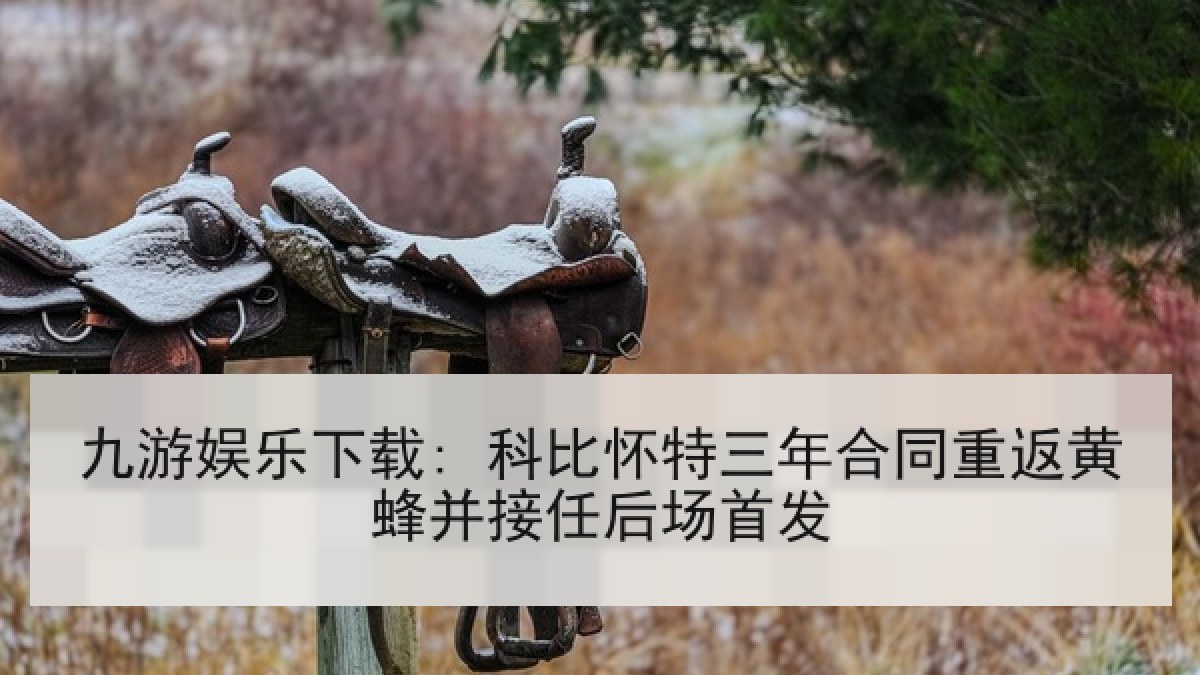 九游娱乐下载: 科比怀特三年合同重返黄蜂并接任后场首发 九游娱乐下载: 科比怀特三年合同重返黄蜂并接任后场首发